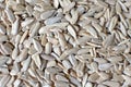 White dehulled sunflower seeds food Royalty Free Stock Photo