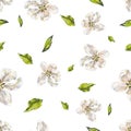 White delicate flowers with green leaves isolated on white background. Handwork draw. Seamless pattern for design