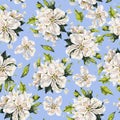 White delicate flowers isolated on blue background. Handwork draw. Seamless pattern for design