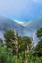 White dense fog high in the mountains on the Llogara pass. View from the highlands. clouds over Royalty Free Stock Photo