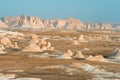 White desert