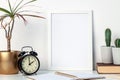 A white desk at home with plants in pots and a white mockup frame. Cactuses and yuka in a golden casing. Royalty Free Stock Photo