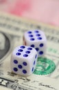 White dice are on a dollar bill of US dollars. The concept of gambling with rates in monetary unit