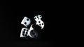 White dice in motion on a black background. Royalty Free Stock Photo