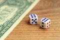 White dice are next to a dollar bill of US dollars on a wooden background. The concept of gambling with rates in monetary unit Royalty Free Stock Photo