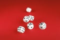 White dice on red background. Board game concept. Royalty Free Stock Photo