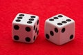 White Dice on Red Felt