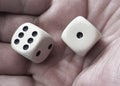 White dices in man hand Royalty Free Stock Photo