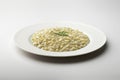 White dinner plate with parmesan cheese risotto and chives Royalty Free Stock Photo