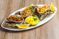 White dish with baked oyster shell cheese, salad oysters, served Royalty Free Stock Photo