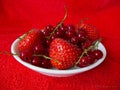 White dish of strawberry and rasberry on red background Royalty Free Stock Photo