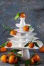 White dishes Pyramid like Christmas tree with mandarins with leaves on top, bunch below on dark Creative concept, dishware, veg, Royalty Free Stock Photo