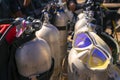 A white diving mask hanging on the oxygen tank for scuba diving on the boat Royalty Free Stock Photo