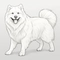 Realistic Vector Illustration Of A White Samoyed Dog With Distinct Markings