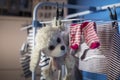 Plush toy hanging dry on rack with clothes Royalty Free Stock Photo