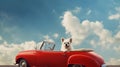 White dog in red convertible car with blue cloudy sky