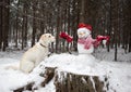 White dog sits near a cute snowman in a Santa hat and a striped scarf and looks at him with interest