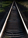 White Dog Standing with Three Legs on The Railway Tracks Royalty Free Stock Photo