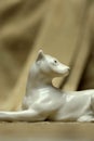 White dog statue on a gold antique flower pattern fabric Royalty Free Stock Photo