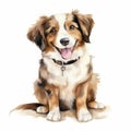 Charming Watercolor Illustration Of Australian Shepherd Puppy