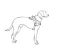 White dog vector drawing. Standing side view sketch. Hand drawn pet illustration