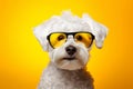 White dog wearing yellow sunglasses on yellow background