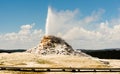 White Dome Geyser Erupting Yellowstone National Park Geothermal