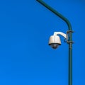 White dome security camera on a green pole Royalty Free Stock Photo