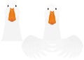 White domestic duck head and upper body bundle Royalty Free Stock Photo