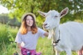 White domestic farm goat on the lawn with teenage girl, girl and animal friendship