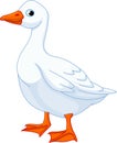 White domestic goose Royalty Free Stock Photo