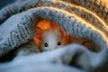 White domestic mouse under blanket, keeping rodents at home