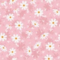 White doodle chamomile or daisy flowers isolated on pink background. Hand drawn floral seamless pattern Royalty Free Stock Photo