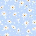 White doodle chamomile or daisy flowers isolated on blue background. Hand drawn floral seamless pattern vector Royalty Free Stock Photo