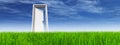 White door in grass with sky background Royalty Free Stock Photo