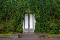 White door in the ivy wall Royalty Free Stock Photo