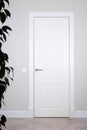 White door and switch on a light gray wall. The dark outline of a house plant