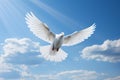 A white dove on a background of a blue sky with white clouds in a sunbeam. The dove is a symbol of the Holy Spirit and peace Royalty Free Stock Photo