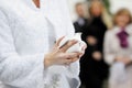 A white dove at bride's hands Royalty Free Stock Photo