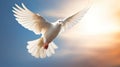 A white dove on bright light shines from heaven background. Symbol of love and peace descends from sky. Generative Ai Royalty Free Stock Photo