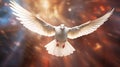 A white dove on bright light shines from heaven background. Symbol of love and peace descends from sky. Generative Ai Royalty Free Stock Photo