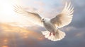 A white dove on bright light shines from heaven background. Symbol of love and peace descends from sky. Generative Ai Royalty Free Stock Photo