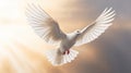 A white dove on bright light shines from heaven background. Symbol of love and peace descends from sky. Generative Ai Royalty Free Stock Photo