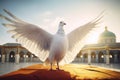 White dove carrying in sun light. Generate Ai