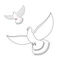 White Dove coloring book. Flying white pigeon. Contour bird waving wings. Childrens coloring book with bird.