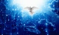 White dove descends from skies Royalty Free Stock Photo