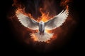 White dove enveloped in flames Royalty Free Stock Photo