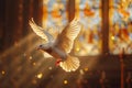 White dove flies across stained glass windows Royalty Free Stock Photo