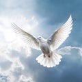 a White dove flies against the background of a blue sky with clouds. Royalty Free Stock Photo