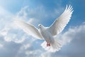 a White dove flies against the background of a blue sky with clouds. Royalty Free Stock Photo